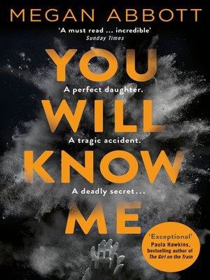 cover image of You Will Know Me